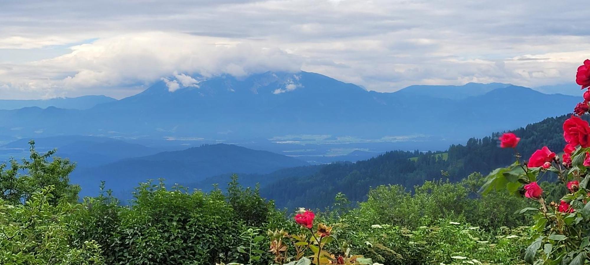 Gasthof Machwirth Griffen Exterior foto